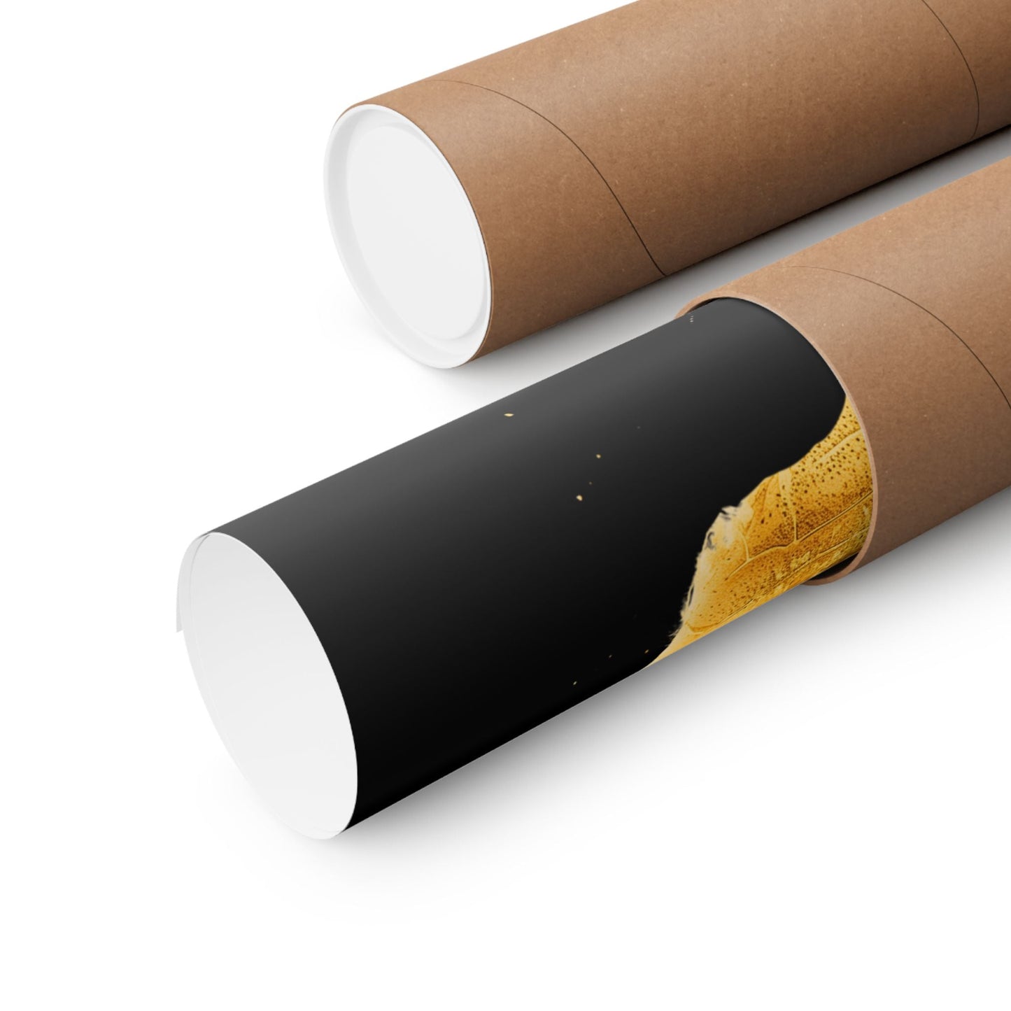 Poster 11″ x 14″ / Matte Design 247B - Art Print The Mystic Eden