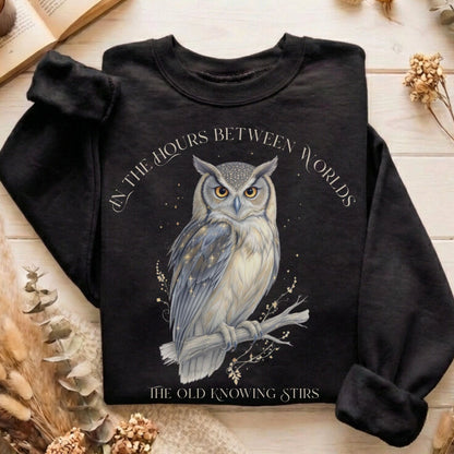 Sweatshirt Black / S The Old Knowing Stirs Mystical Owl Sweatshirt The Mystic Eden