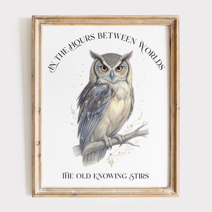 Art Prints 11″ x 14″ / Matte Design 281B - Art Print The Mystic Eden