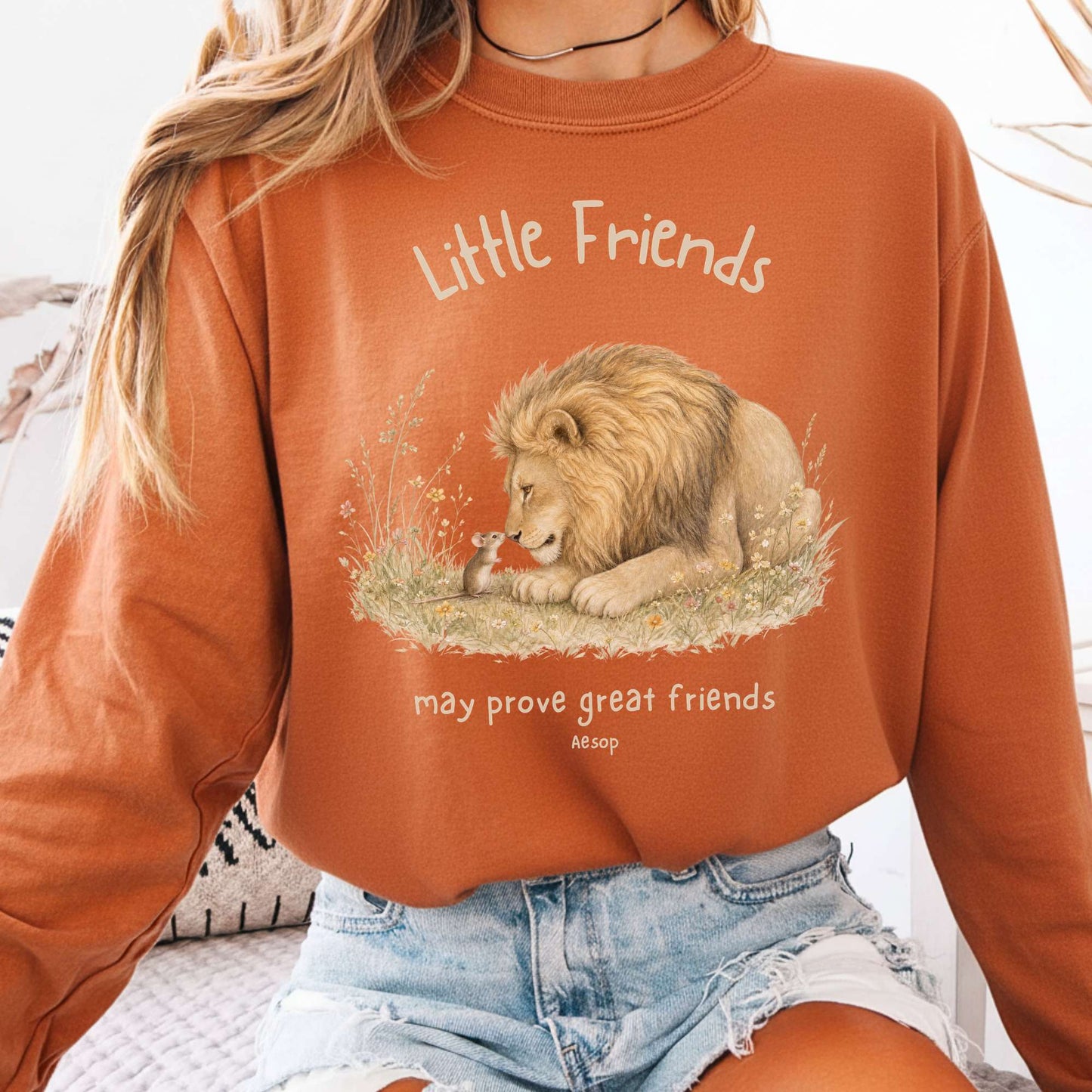 Little Friends The Lion and the Mouse Aesop Long Sleeve