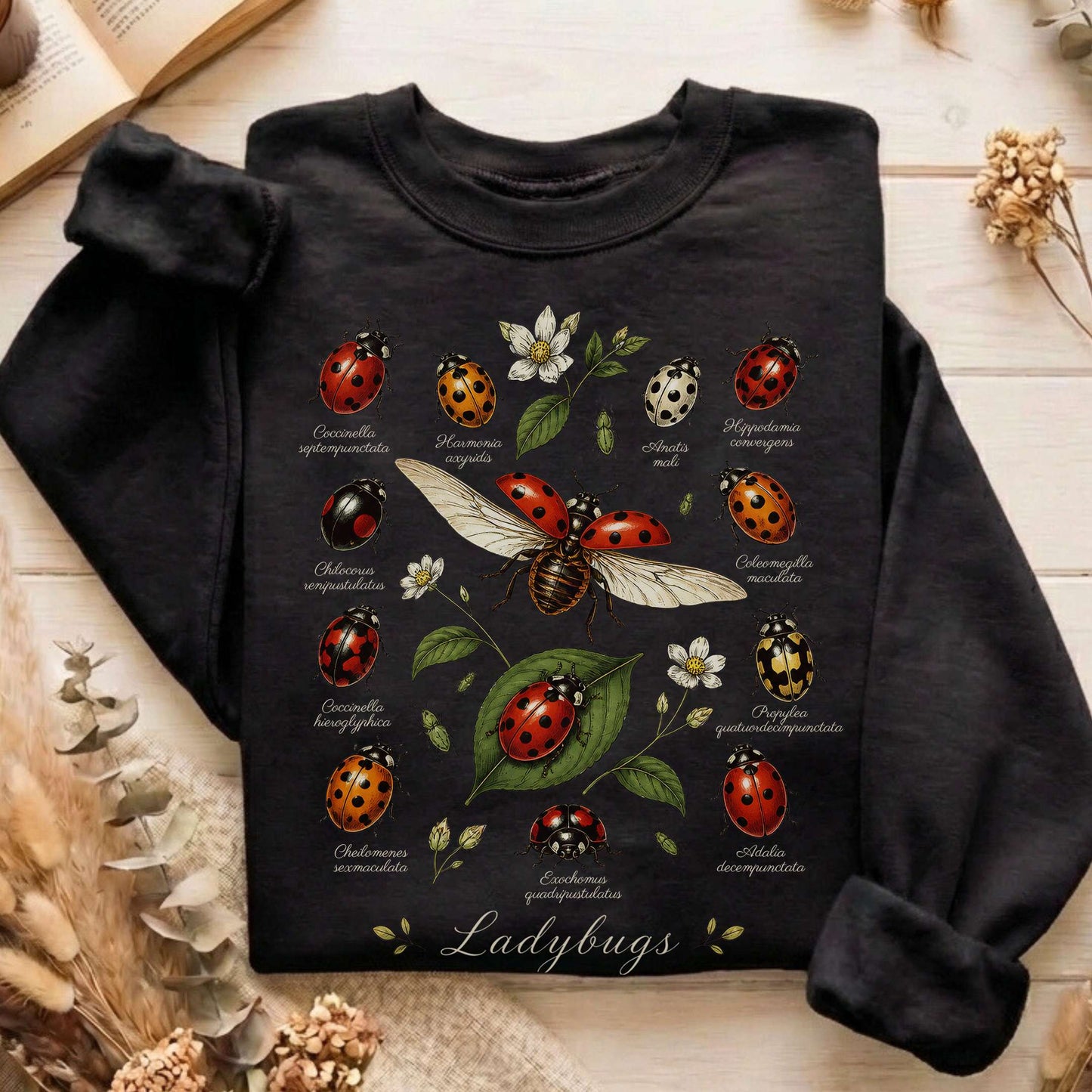 Ladybugs Nature Study Sweatshirt