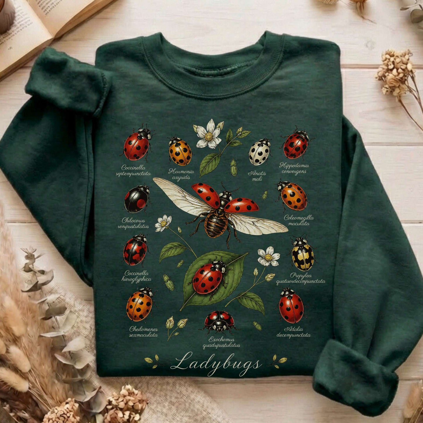 Ladybugs Nature Study Sweatshirt