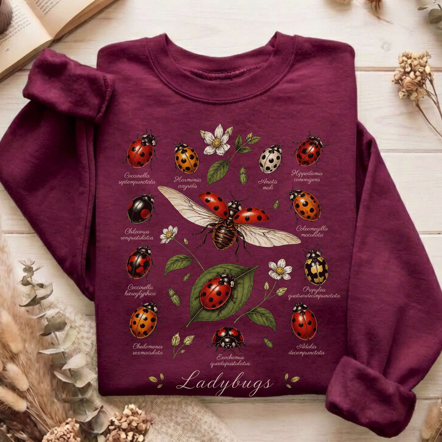 Ladybugs Nature Study Sweatshirt