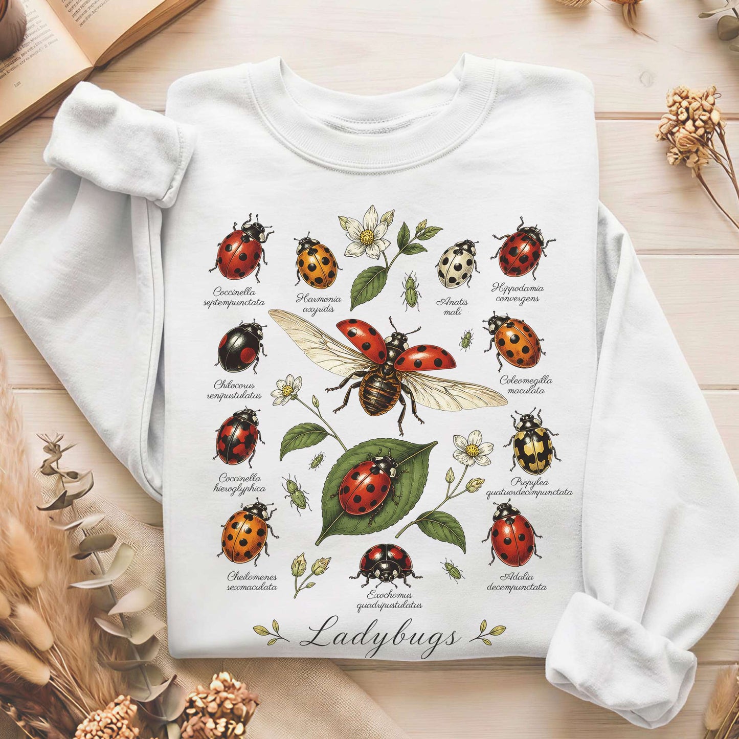 Ladybugs Nature Study Sweatshirt