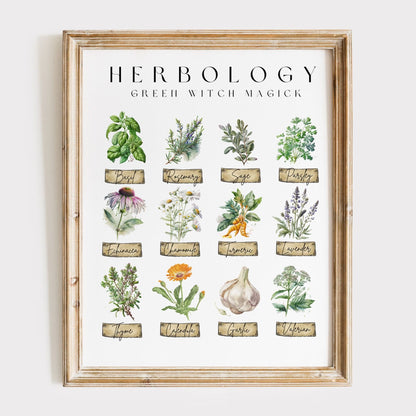 Art Prints 11″ x 14″ / Matte Design 58 - Art Print The Mystic Eden