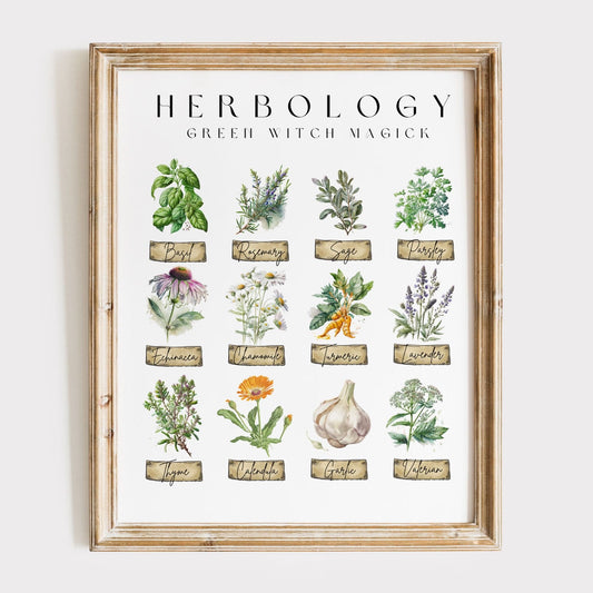 Art Prints 11″ x 14″ / Matte Design 58 - Art Print The Mystic Eden