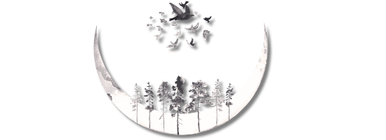 The Mystic Eden