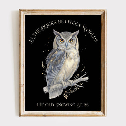 Art Prints 11″ x 14″ / Matte Design 281A - Art Print The Mystic Eden