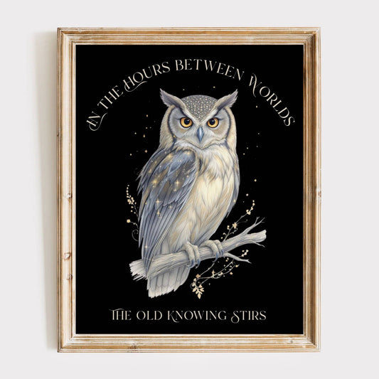 Art Prints 11″ x 14″ / Matte Design 281A - Art Print The Mystic Eden