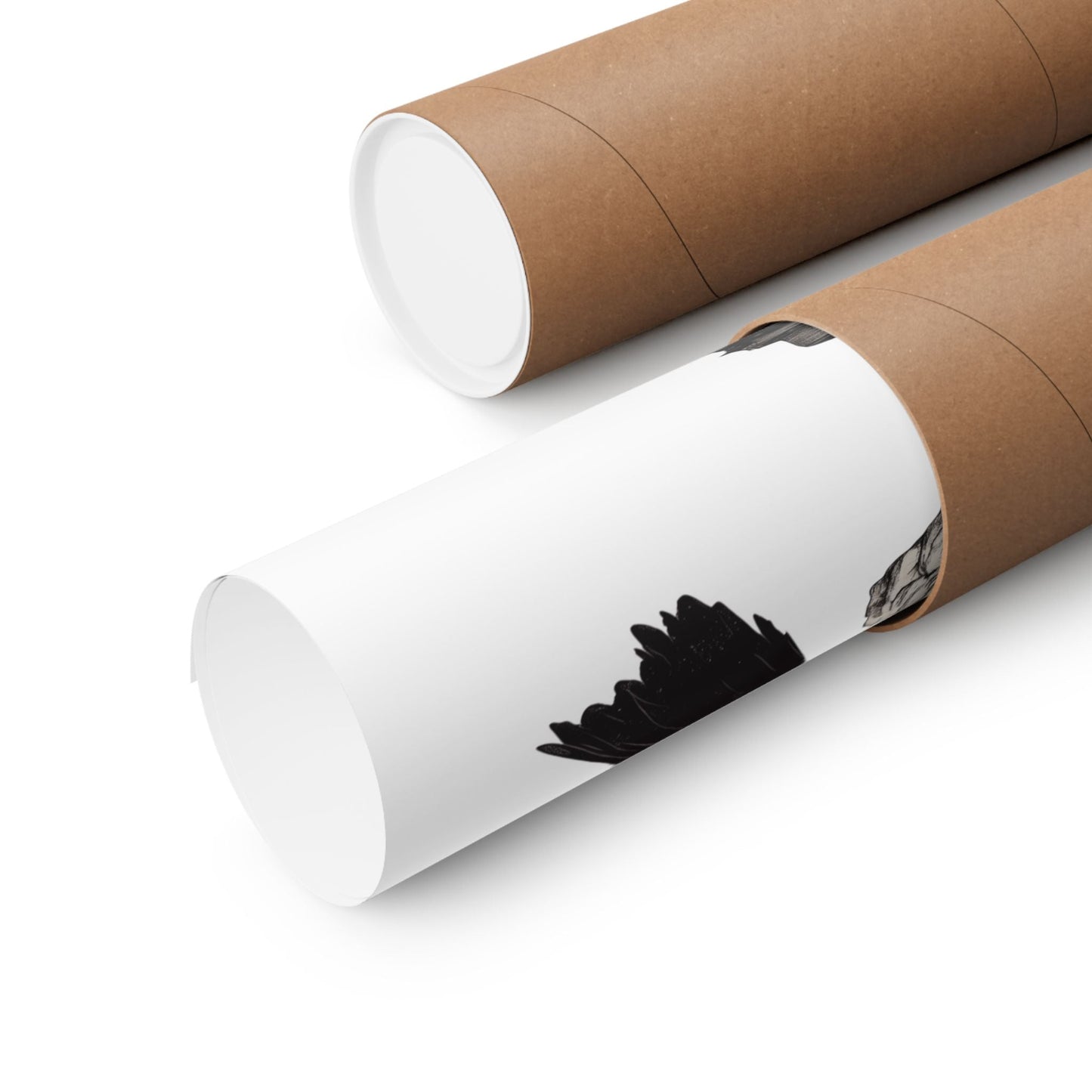 Poster 11″ x 14″ / Matte Quoth the Raven Nevermore Edgar Allan Poe Print The Mystic Eden