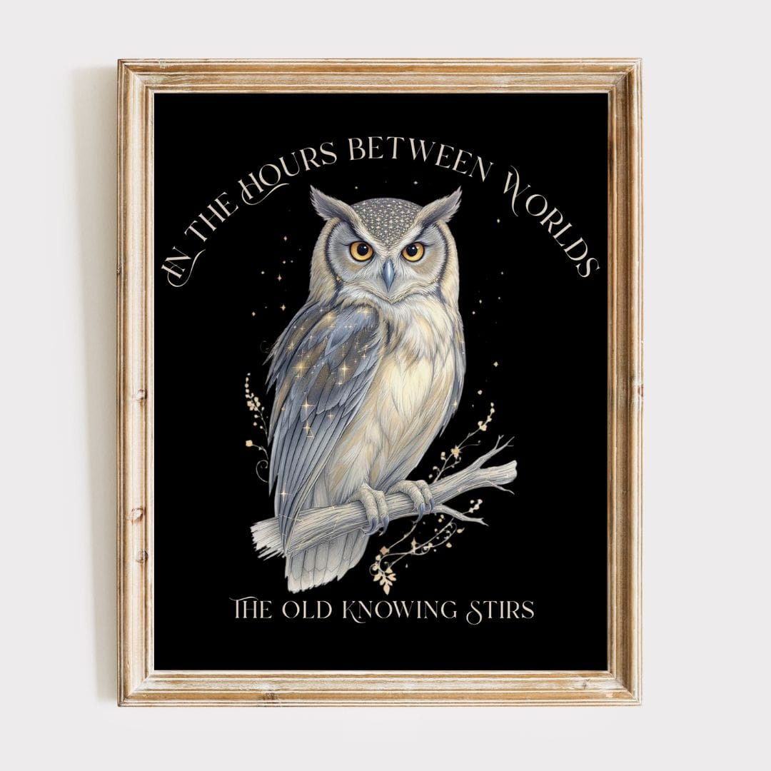 Poster 11″ x 14″ / Matte The Old Knowing Stirs Mystical Owl Art Black Print The Mystic Eden