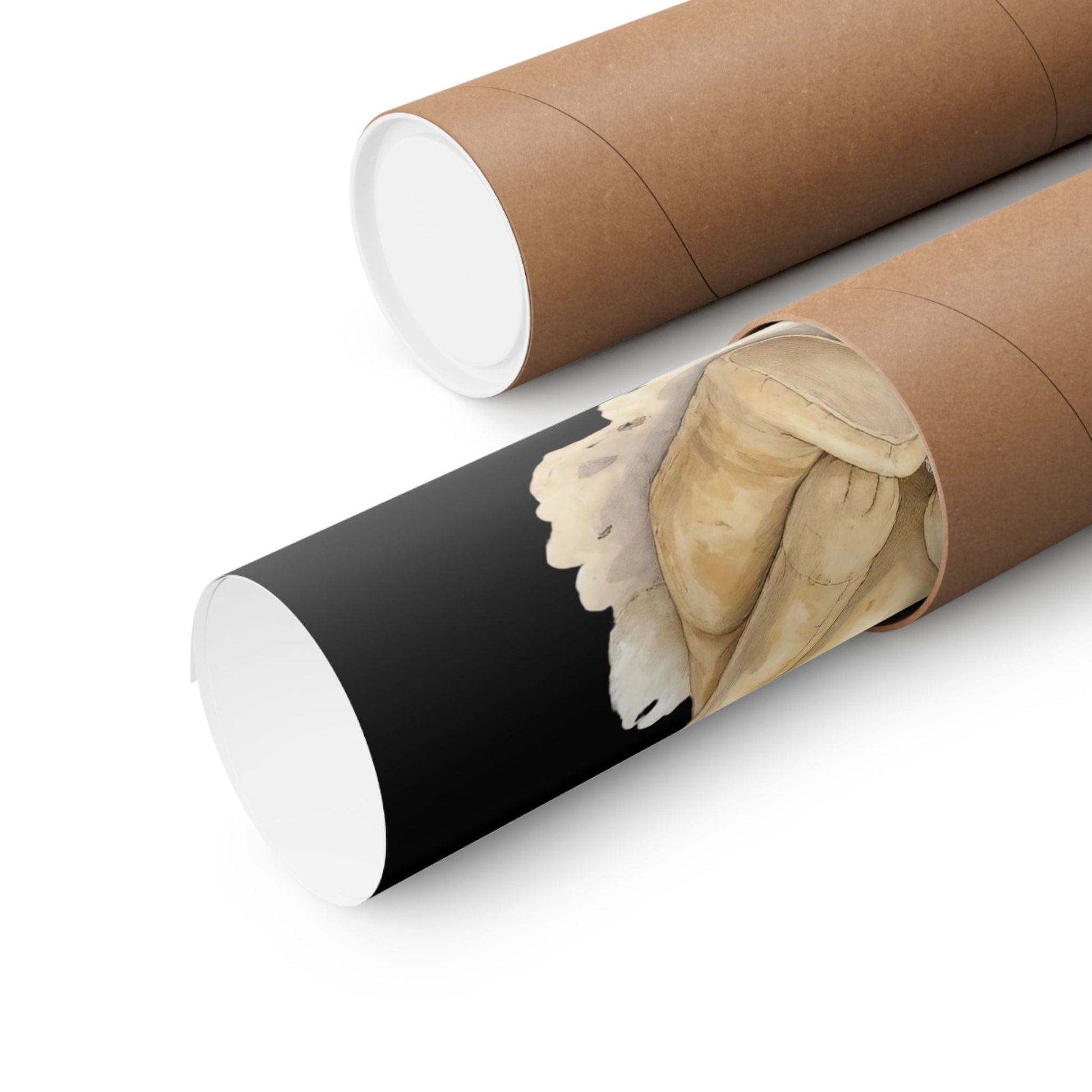 Poster 11″ x 14″ / Matte You Become Real The Velveteen Rabbit Black Print The Mystic Eden