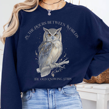 Sweatshirt Navy / S The Old Knowing Stirs Mystical Owl Sweatshirt The Mystic Eden